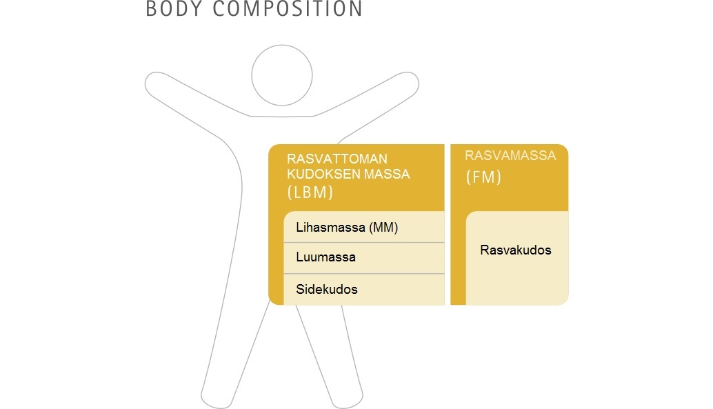 bodycomposition